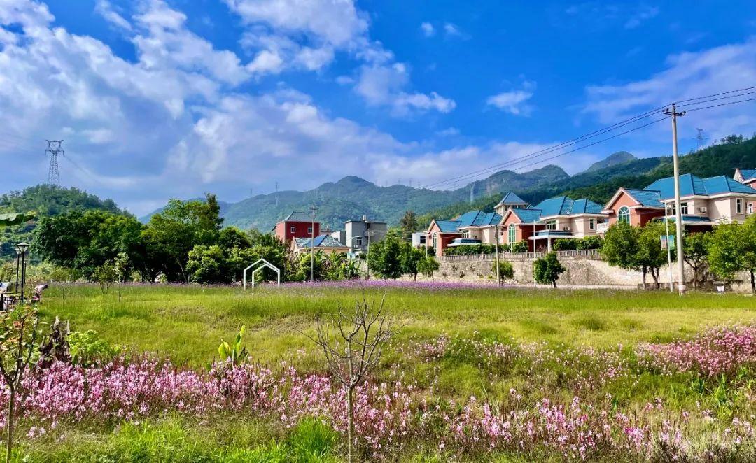 市政护栏网百科，城市安全与美观的双重守护者
