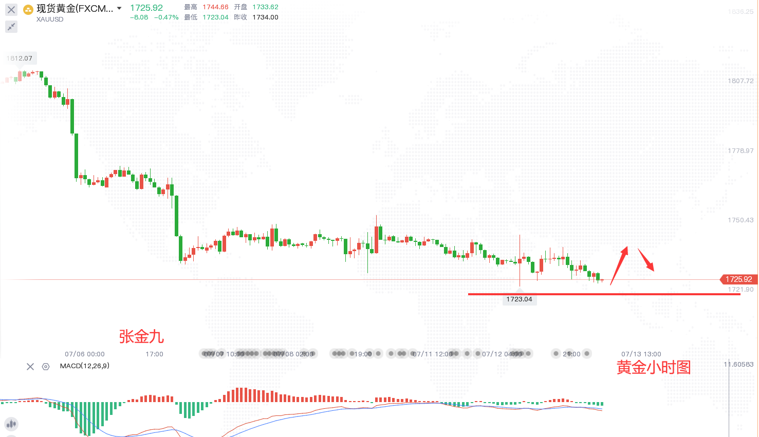最新现货金行情走势图深度分析，金价波动背后的市场逻辑与投资策略