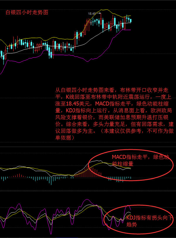 2048年六会彩生肖卡对照表，揭秘传统与现代结合的幸运密码2024六会彩生肖卡对照表2023红蓝绿
