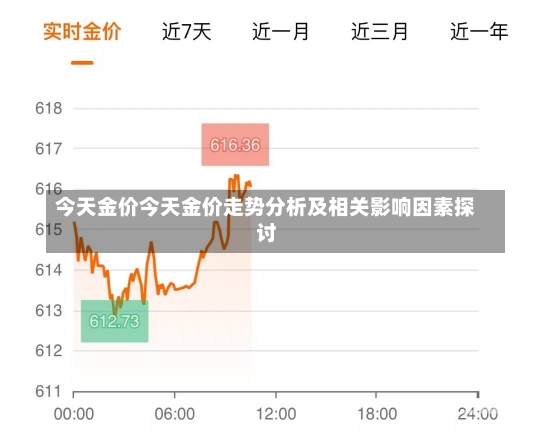 今日金价，市场动态与未来走势分析