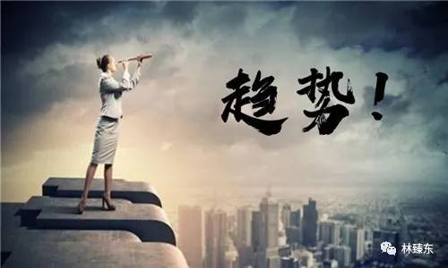探索未来，比思论坛在特区创新发展中的角色与影响比思论坛 特区东西方美人