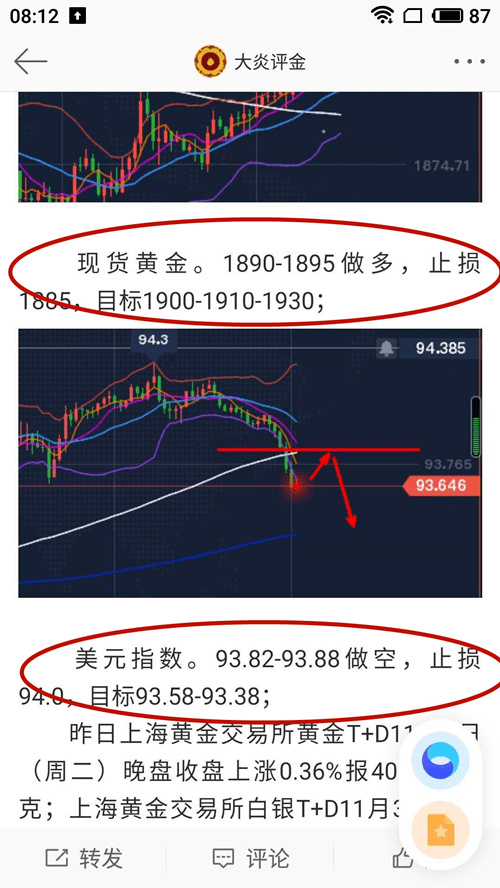 探秘上海黄金交易所TD价格，市场动态与投资策略