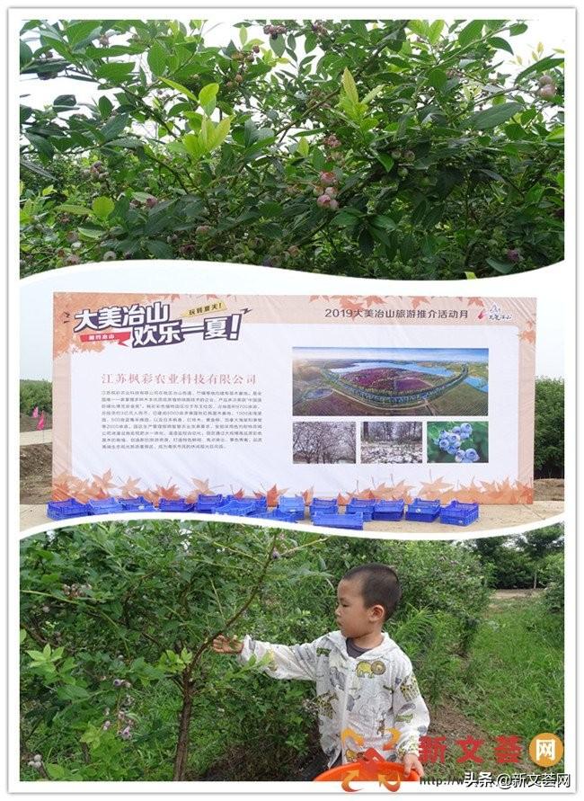 六合天下心水论坛—汇聚智慧，共谋发展6合天下彩