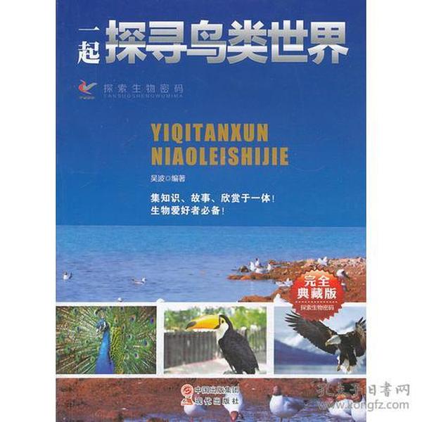 探寻二四六天天好彩背后的文化与娱乐交织—免费资料精选小说探索
