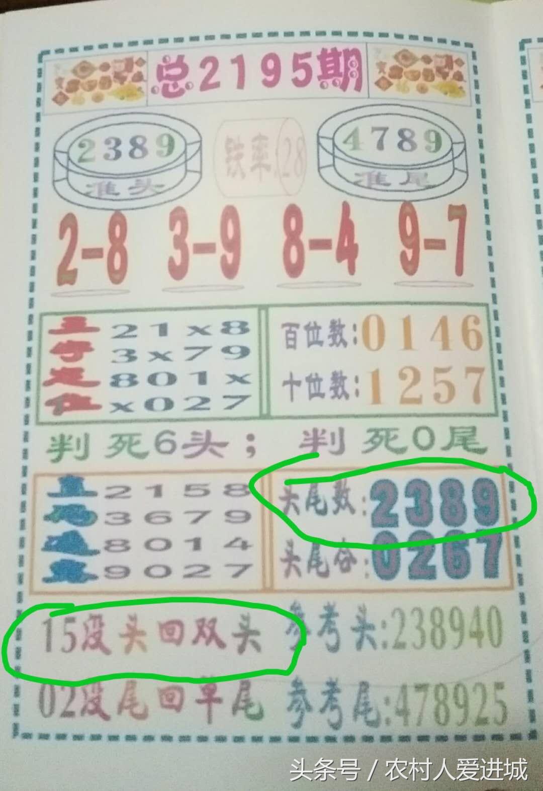 澳门天天彩，期期的精准与期待澳门天天彩期期精准澳门天天