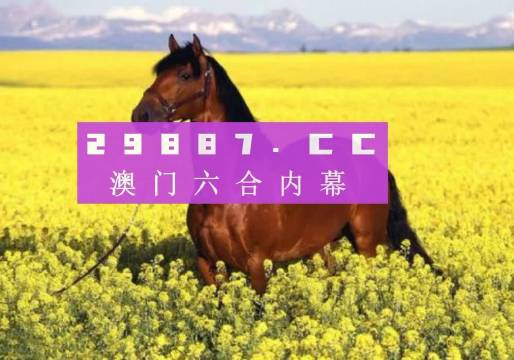 2038澳门全年资料免费大全，全面解析与使用指南2023澳门全年资料免费大全246