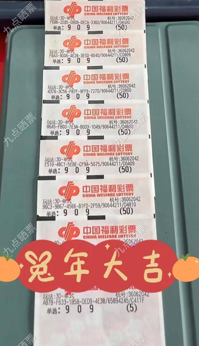 246天天好彩987，理性看待彩票与生活的平衡