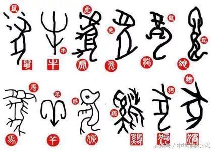 2019年特马生肖图，传统与现代交织的幸运符号二0一九年特马生肖图