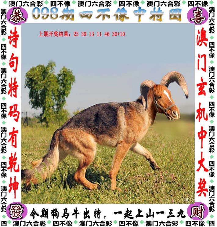 澳门今期特马四不像，探索独特魅力与文化交融