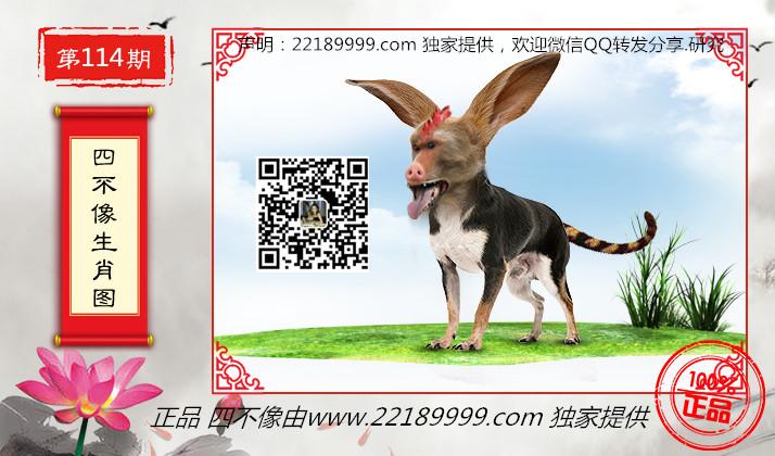 今日特马图四不像，探索数字时代的彩票新奇象今天特马图四不像今晚打一生肖