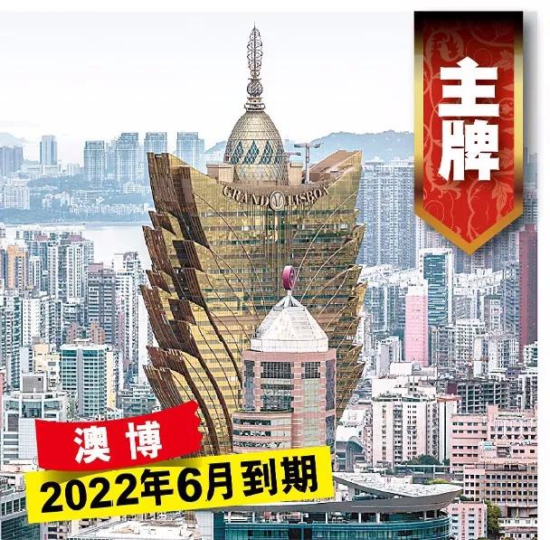 澳门六大赌牌持有人背后的博弈与理论澳门六大赌牌是什么意思