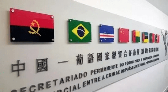 澳门六玄网论坛15期资料最新，揭秘与风险警示