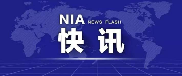 澳门六盒宝典2019年最新版开奖直播视频,揭秘与警示2021澳门6合宝典最新版本