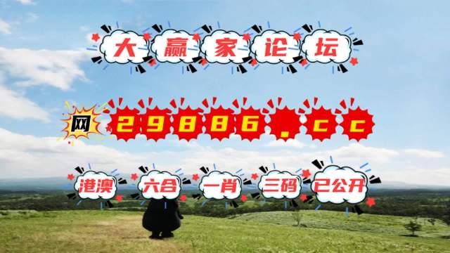 澳门六肖王资料，揭秘其组成部分与背后的故事
